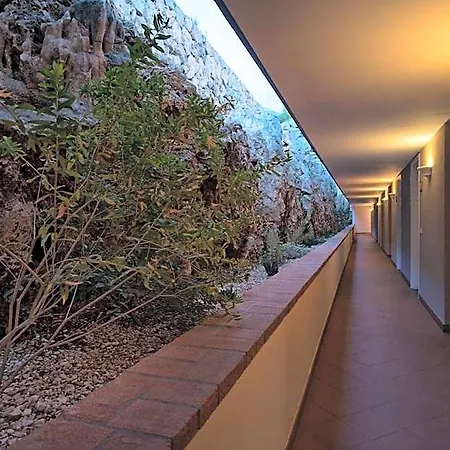 Collina Degli Ulivi Bed and breakfast
