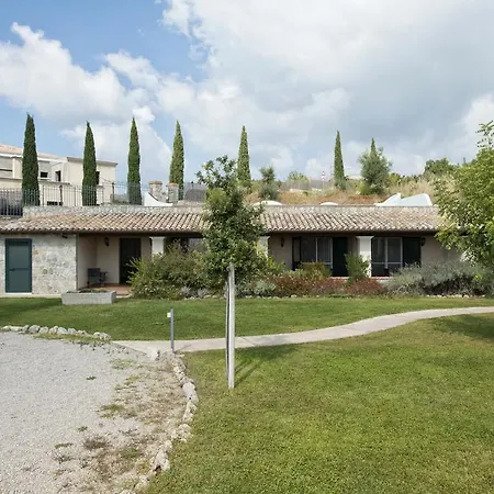 Collina Degli Ulivi Bed & Breakfast