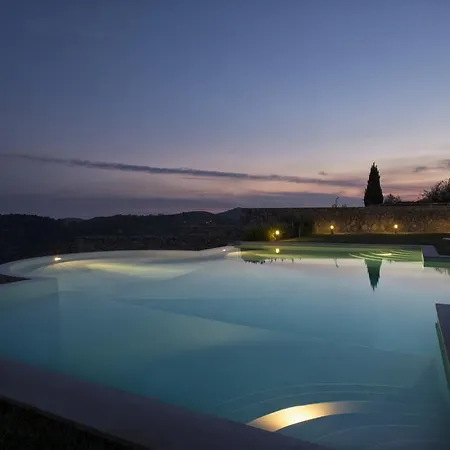 Collina Degli Ulivi Bed & Breakfast
