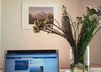 Bed and breakfast Collina Degli Ulivi 4*