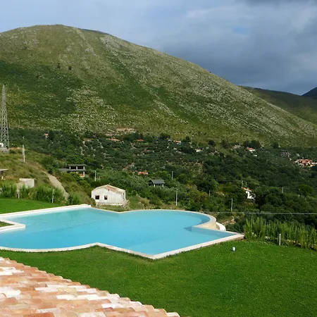 Collina Degli Ulivi